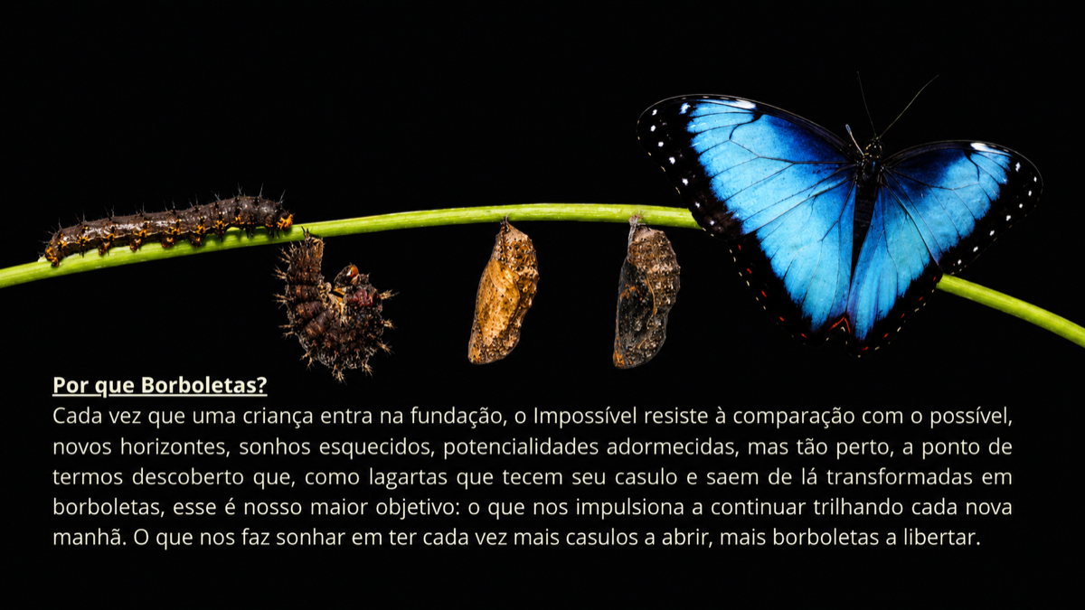 Metamorfose da lagarta à borboleta — Por que Borboletas?